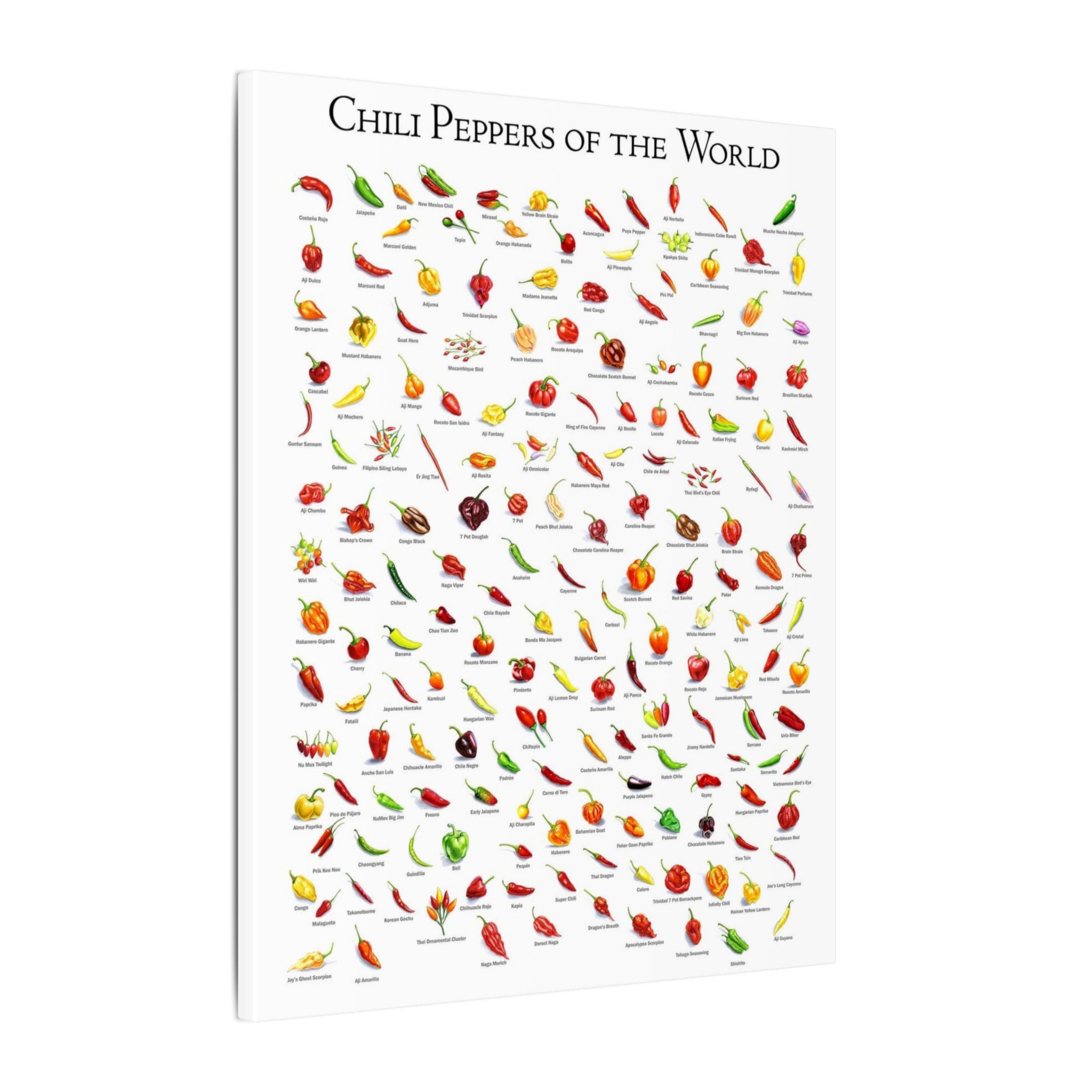 Chili Peppers of the World Poster, Hot Pepper Chart Print, Pepper Variety Wall Art, Chili Pepper Identification Guide, Kitchen Decor Gift