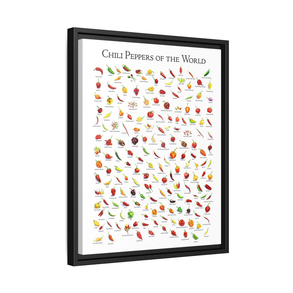 Chili Peppers of the World Poster, Hot Pepper Chart Print, Pepper Variety Wall Art, Chili Pepper Identification Guide, Kitchen Decor Gift