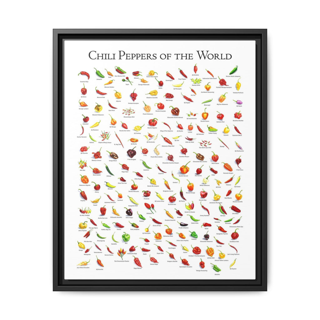 Chili Peppers of the World Poster, Hot Pepper Chart Print, Pepper Variety Wall Art, Chili Pepper Identification Guide, Kitchen Decor Gift