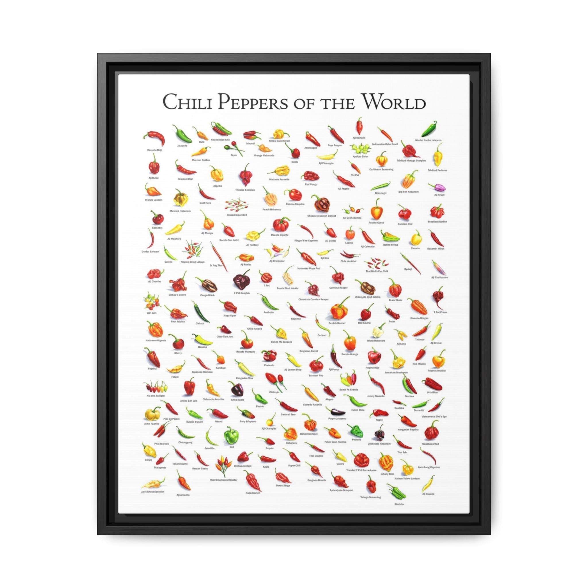 Chili Peppers of the World Poster, Hot Pepper Chart Print, Pepper Variety Wall Art, Chili Pepper Identification Guide, Kitchen Decor Gift