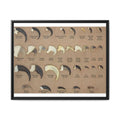 Claw Identification Guide Poster, Animal Claw Comparison Chart, Wildlife Tracks and Claw Reference Educational Canvas Print