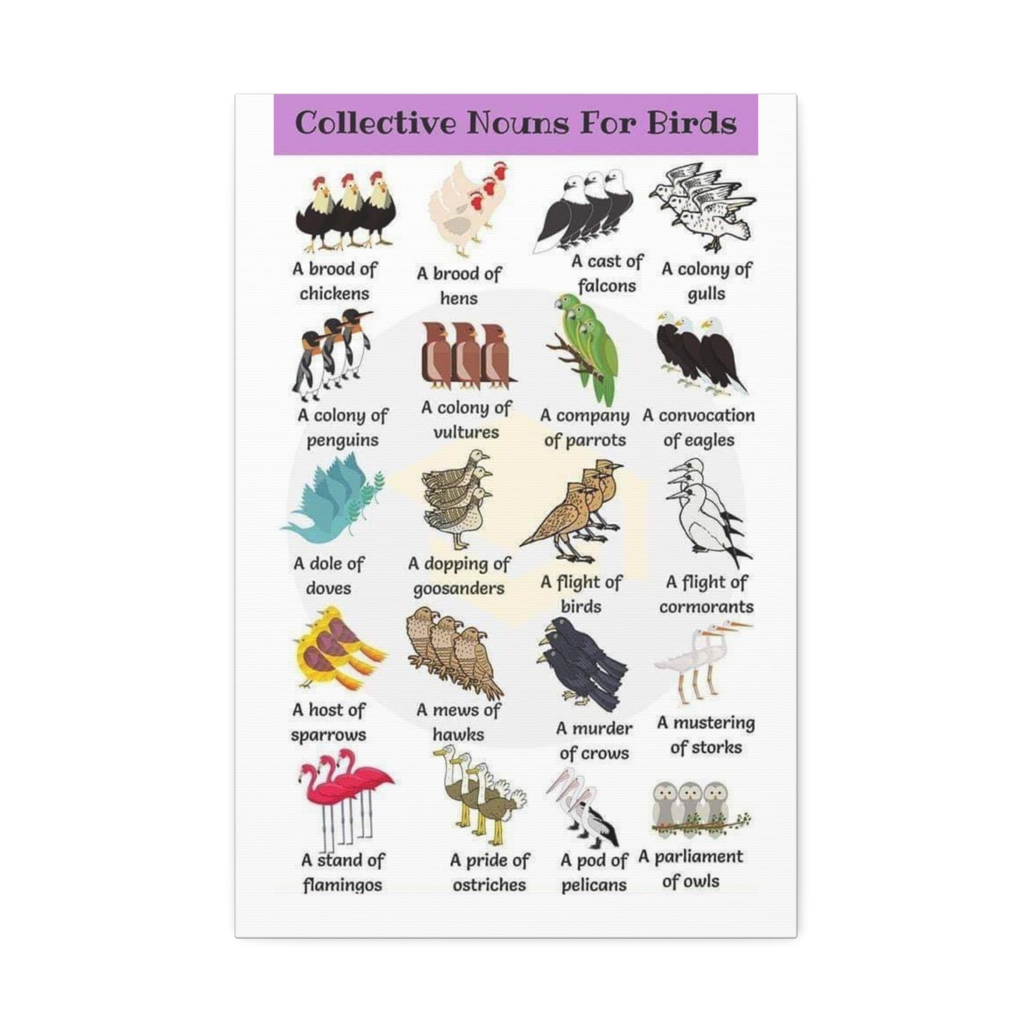 Collective Nouns For Birds Brood Colony Company Flight Vertical Poster