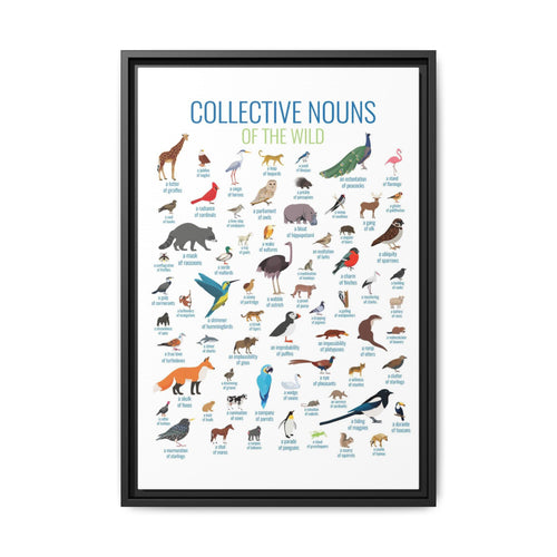 Collective Nouns Of The Wild Animals Birds Mammals Vertical Poster