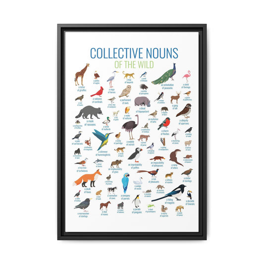 Collective Nouns Of The Wild Animals Birds Mammals Vertical Poster