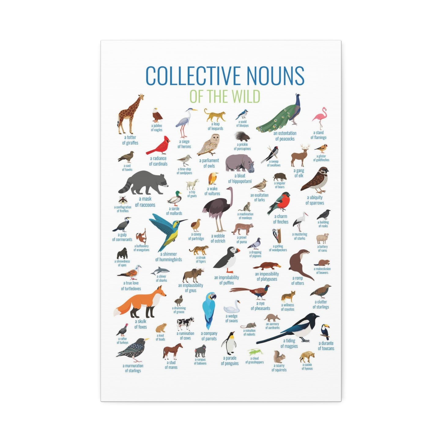 Collective Nouns Of The Wild Animals Birds Mammals Vertical Poster