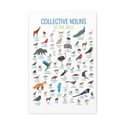 Collective Nouns Of The Wild Animals Birds Mammals Vertical Poster