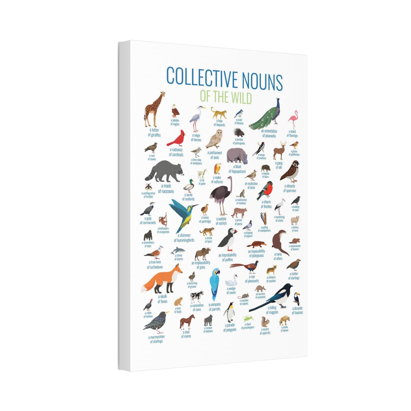 Collective Nouns Of The Wild Animals Birds Mammals Vertical Poster