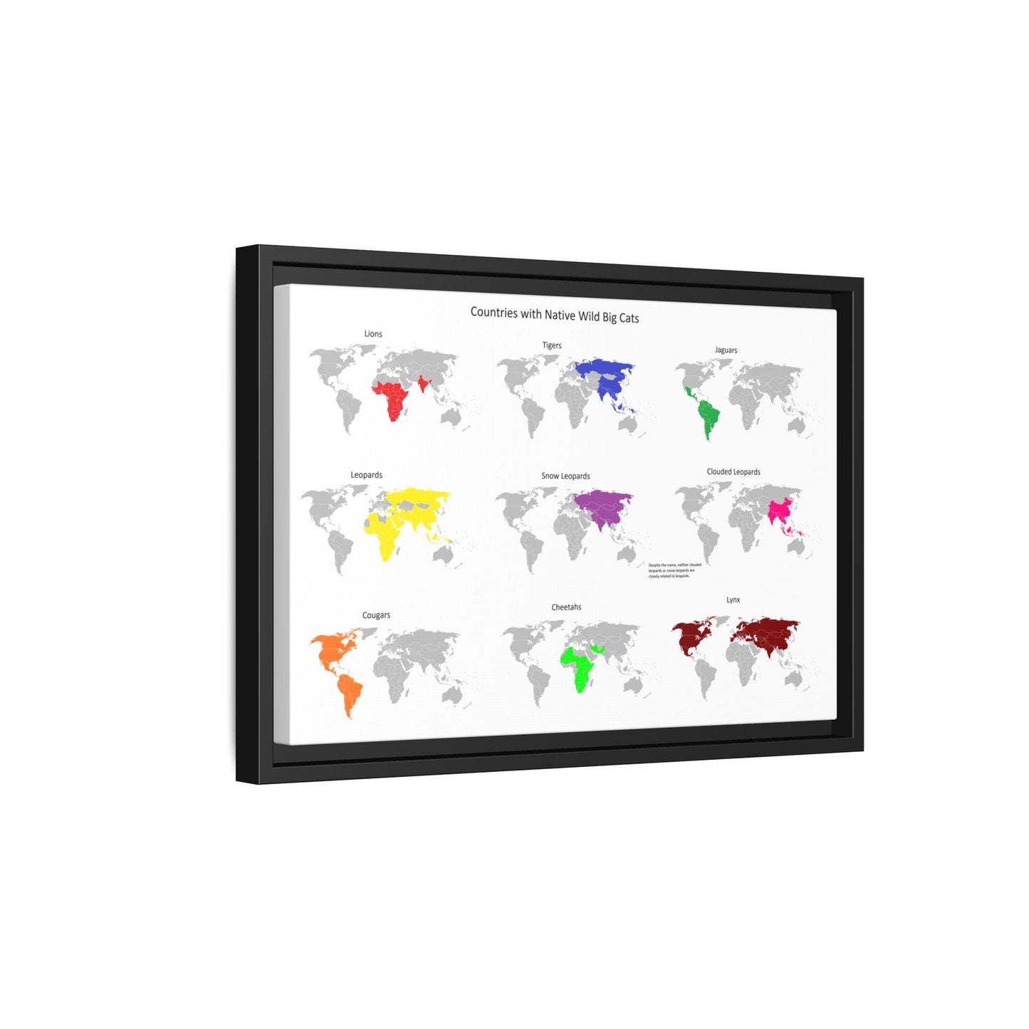 Countries With Native Wild Big Cats Lions Tigers Vertical Poster