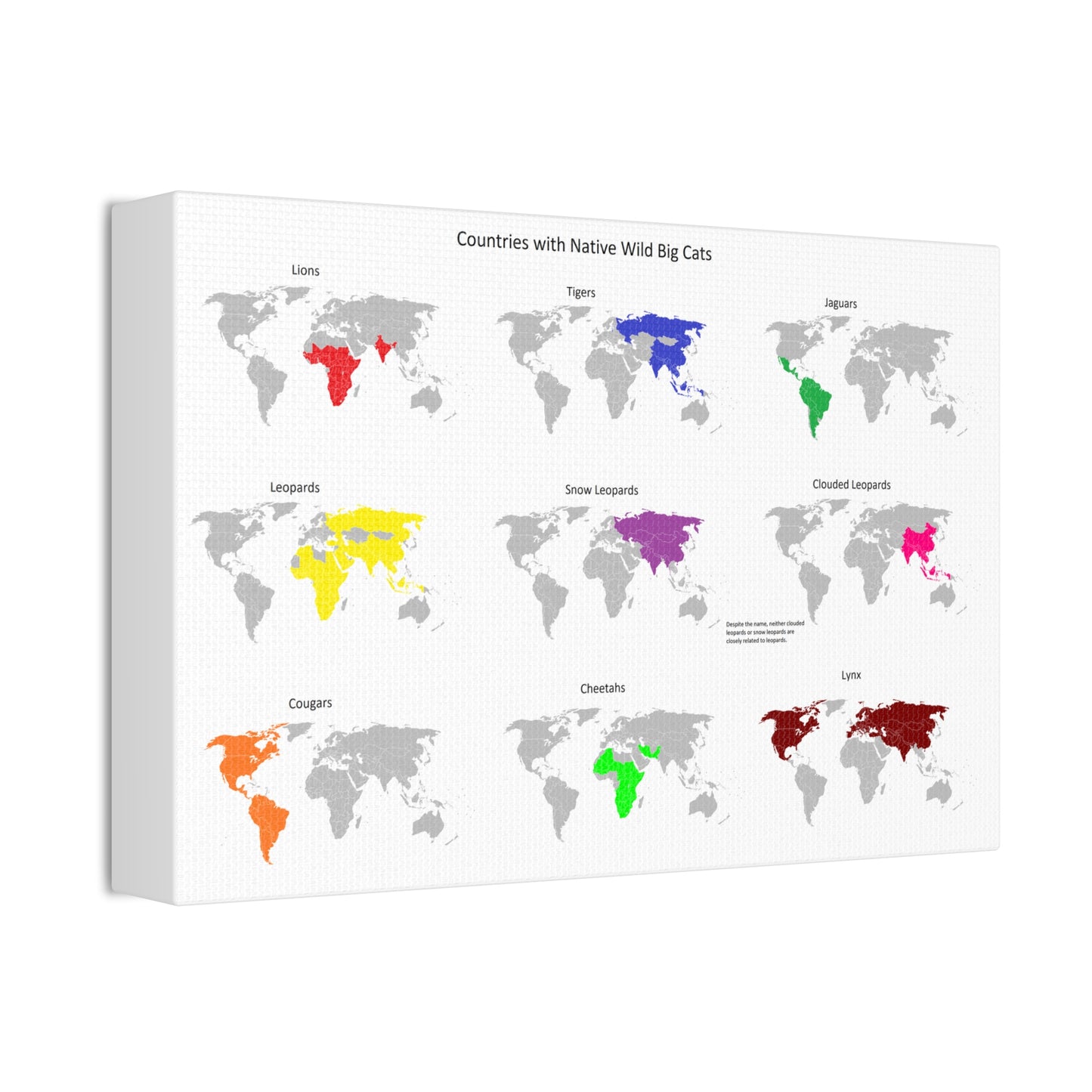 Countries With Native Wild Big Cats Lions Tigers Vertical Poster