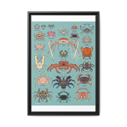 Crabs Guide Japanese Spider Crab Red King Crab Blue Crab Vertical Poster