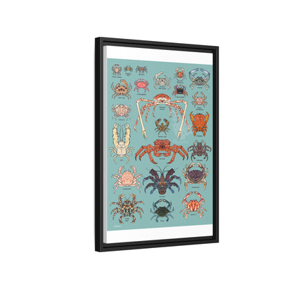 Crabs Guide Japanese Spider Crab Red King Crab Blue Crab Vertical Poster