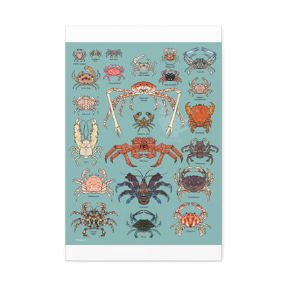 Crabs Guide Japanese Spider Crab Red King Crab Blue Crab Vertical Poster
