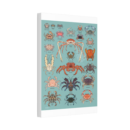 Crabs Guide Japanese Spider Crab Red King Crab Blue Crab Vertical Poster