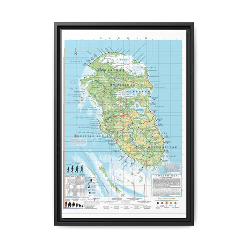 Darwin Taxonomy Of All Apes Hominidae Ponginae Hylobatidae Human Evolution Vertical Canvas And Poster