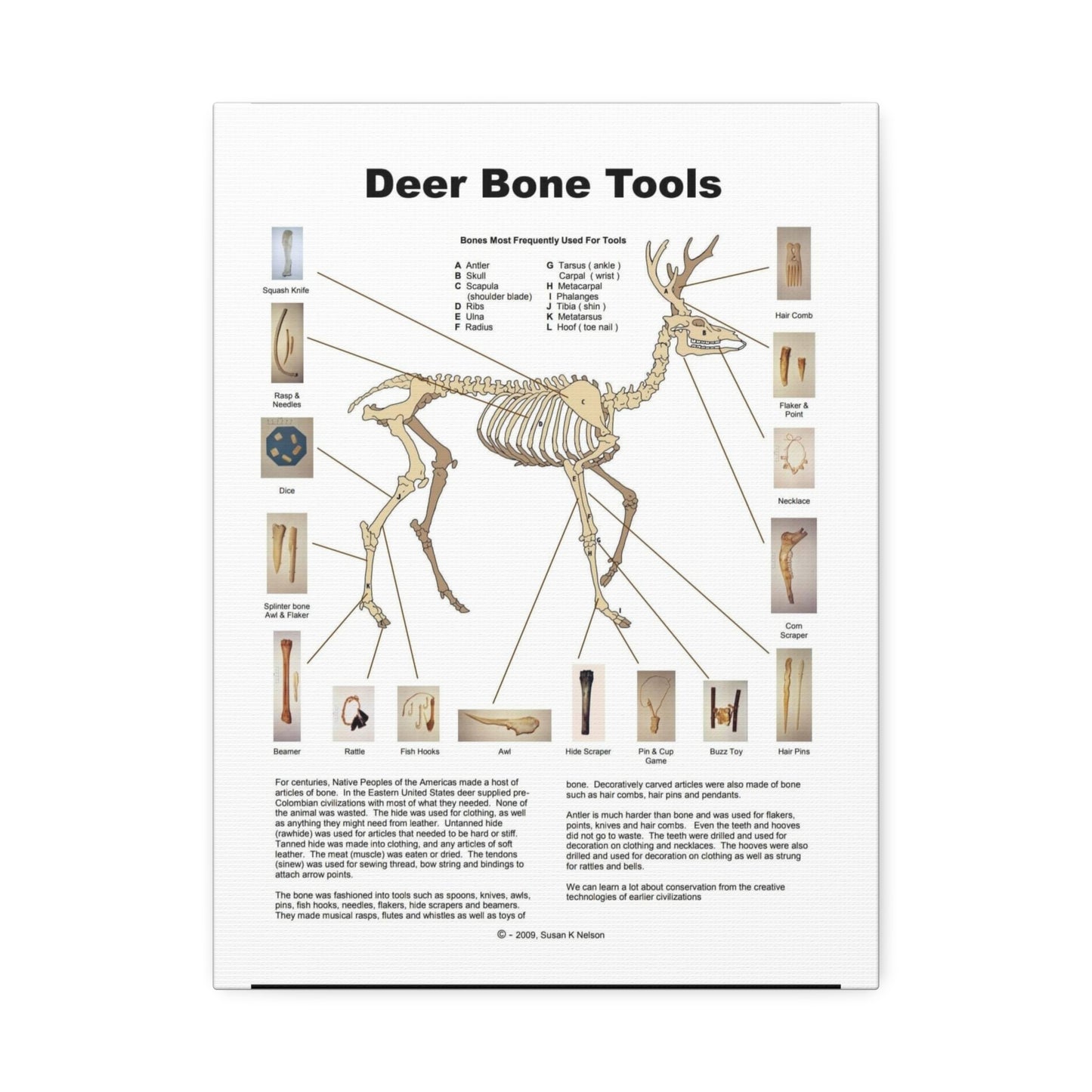 Deer Bone Tools Poster, Deer Bone Uses And Native Tools Vertical Poster