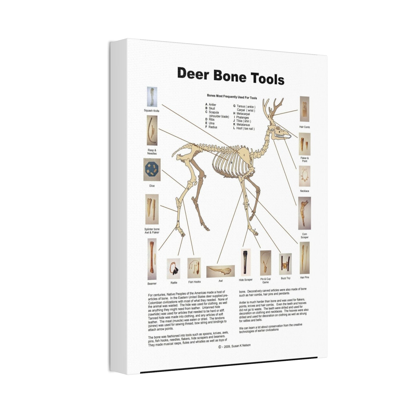 Deer Bone Tools Poster, Deer Bone Uses And Native Tools Vertical Poster