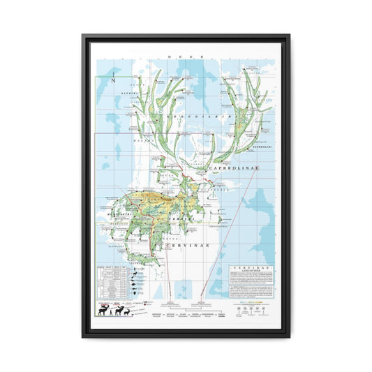 Deer Family Tree Map Poster, Cervidae Evolution Chart Print, Deer Species Identification Wall Art, Wildlife Gift