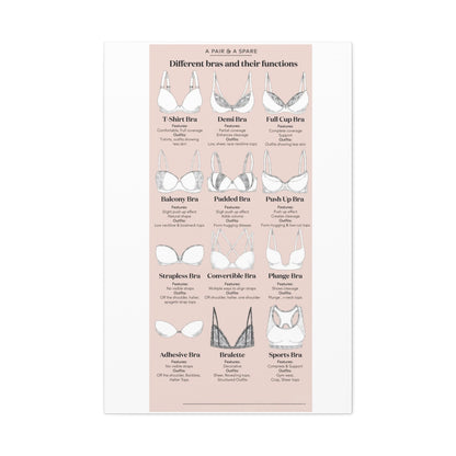Different Bra Styles And Their Functions Poster, Types Of Bras Guide Vertical Poster