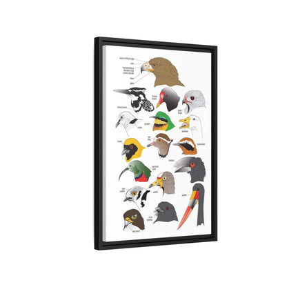 Distinguishing Features Of Birds Bird Anatomy Beak Parts Vertical Poster