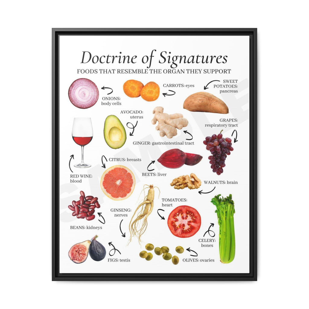 Doctrine of Signatures Foods That Resemble the Organ They Support Vertical Poster and Canvas