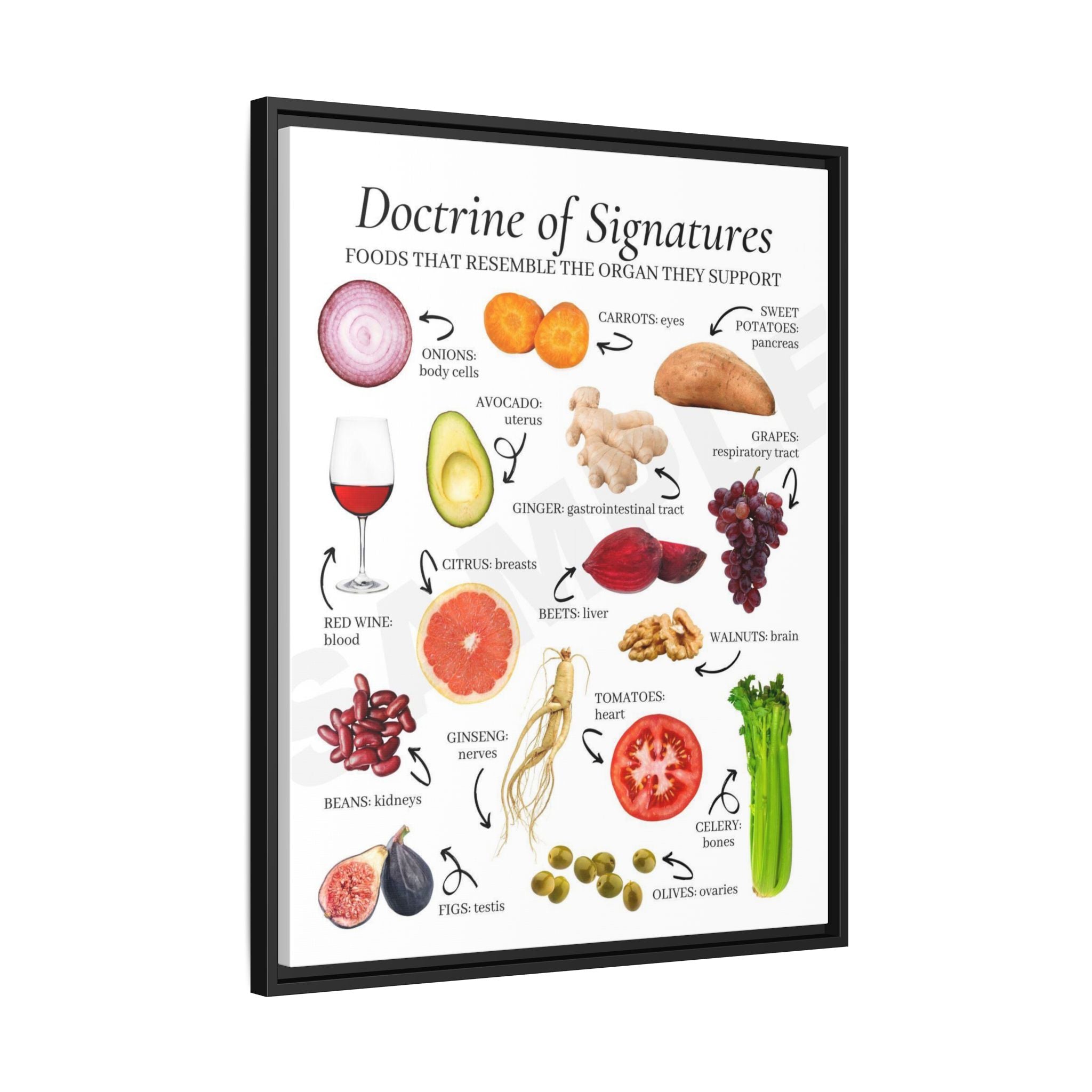 Doctrine of Signatures Foods That Resemble the Organ They Support Vertical Poster and Canvas