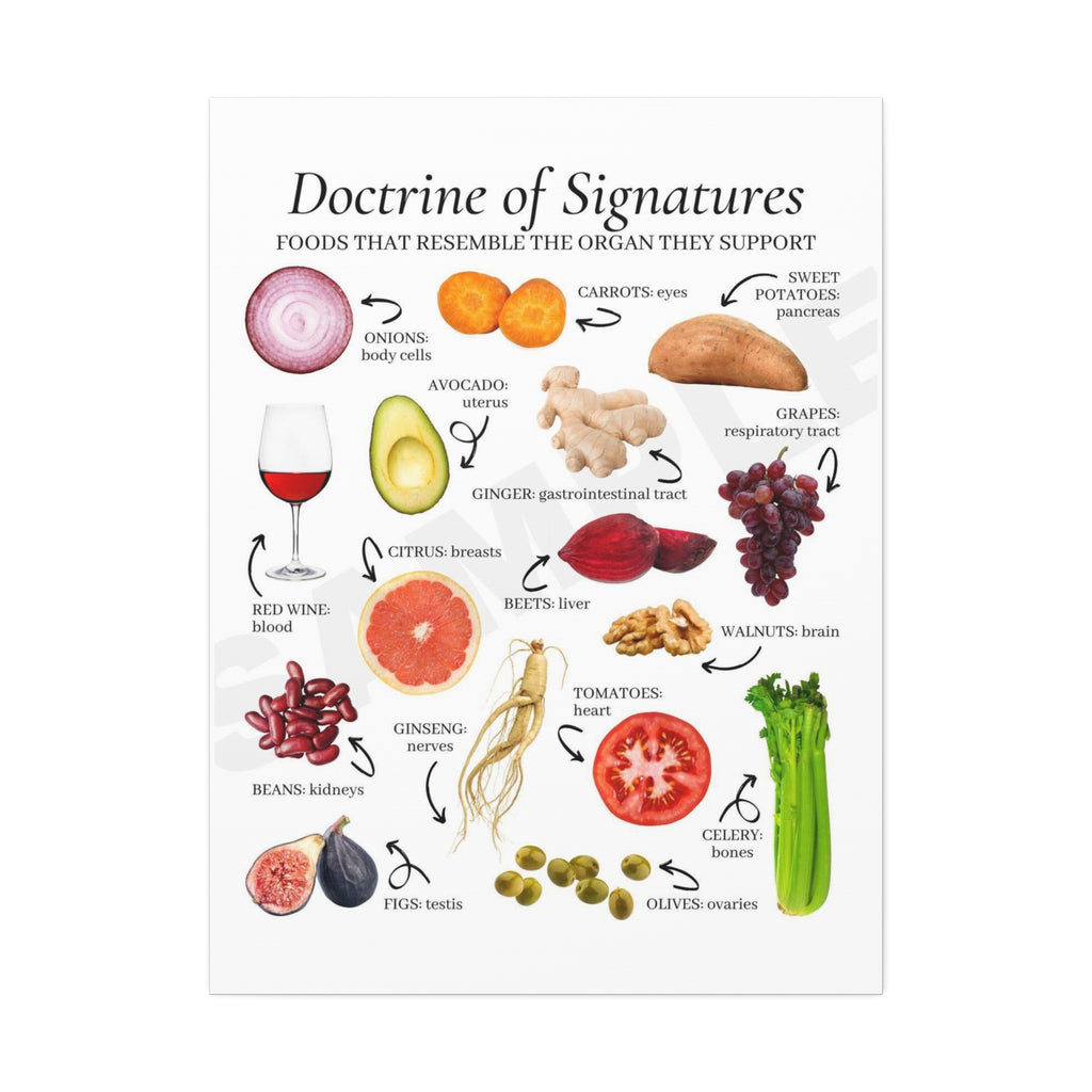 Doctrine of Signatures Foods That Resemble the Organ They Support Vertical Poster and Canvas