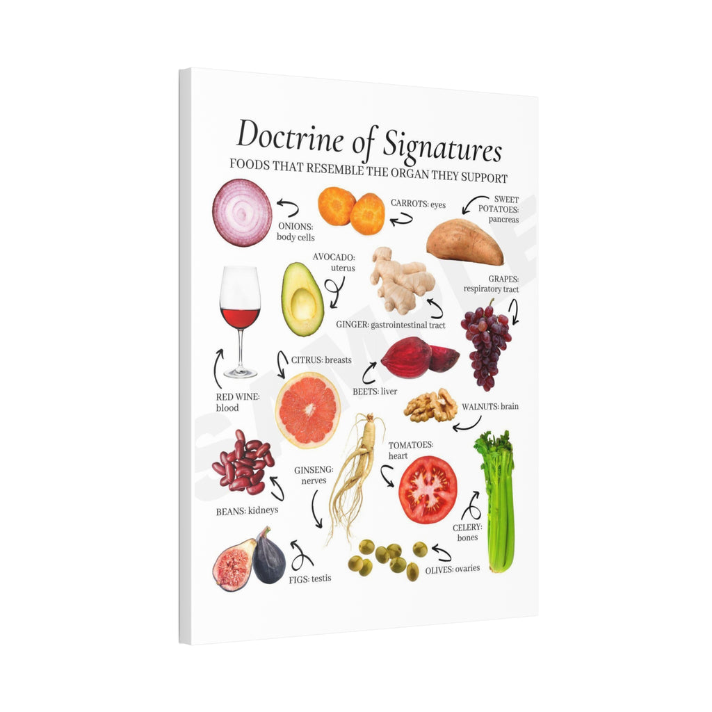 Doctrine of Signatures Foods That Resemble the Organ They Support Vertical Poster and Canvas