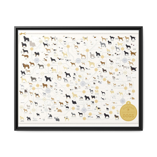 Dog Breeds Guide Poster, Complete Dog Breed Classification Diagram, Educational Canine Reference Canvas Print