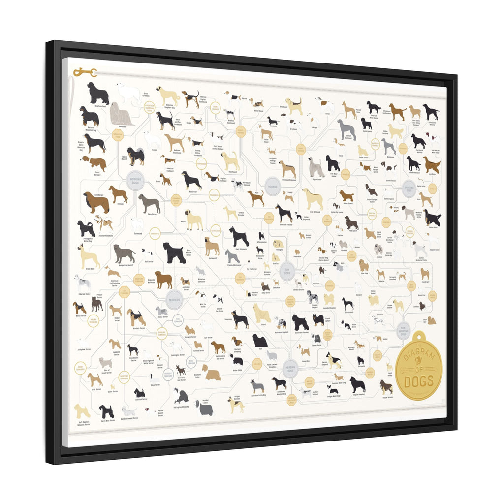 Dog Breeds Guide Poster, Complete Dog Breed Classification Diagram, Educational Canine Reference Canvas Print