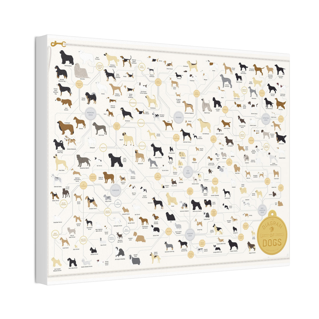 Dog Breeds Guide Poster, Complete Dog Breed Classification Diagram, Educational Canine Reference Canvas Print