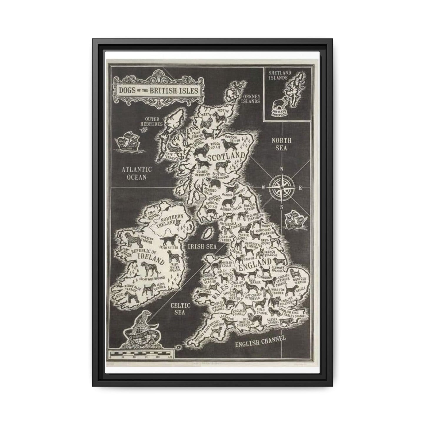 Dogs Of The British Isles Vertical Poster