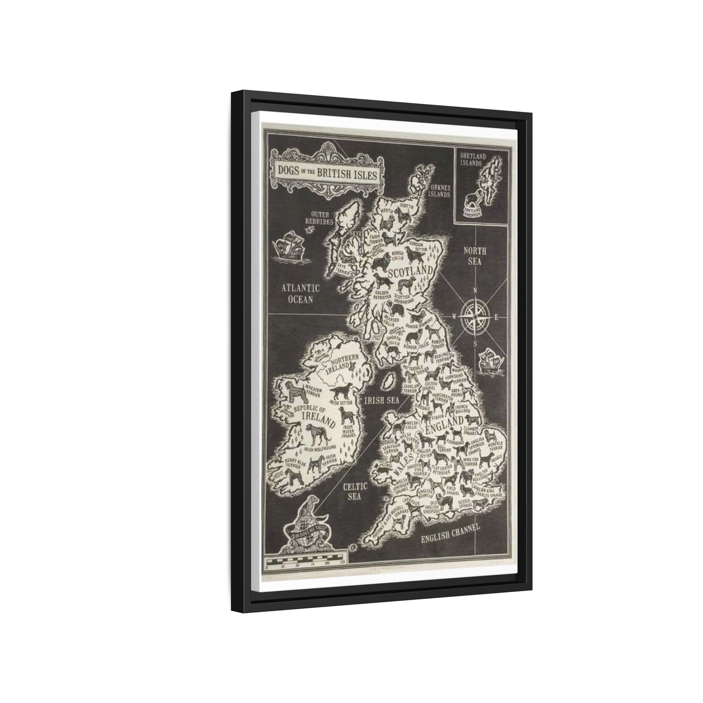 Dogs Of The British Isles Vertical Poster