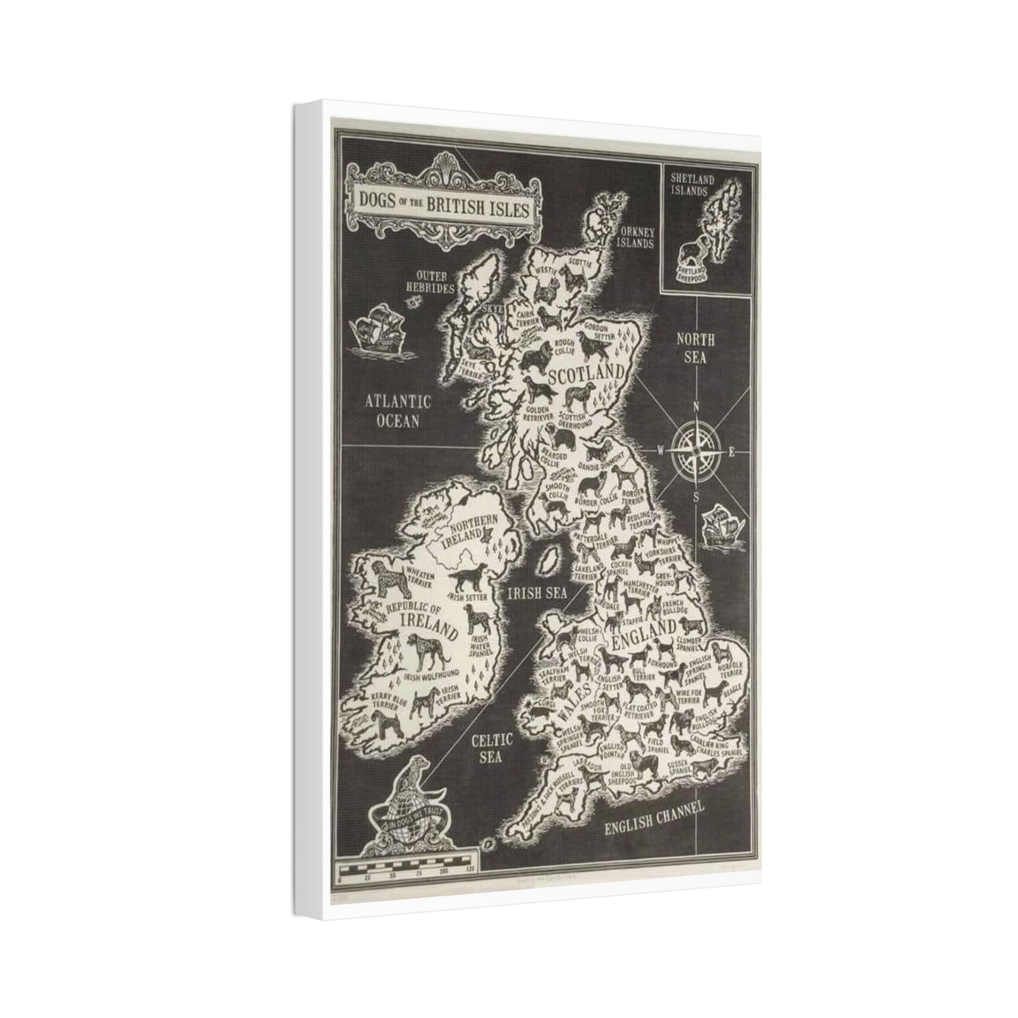 Dogs Of The British Isles Vertical Poster