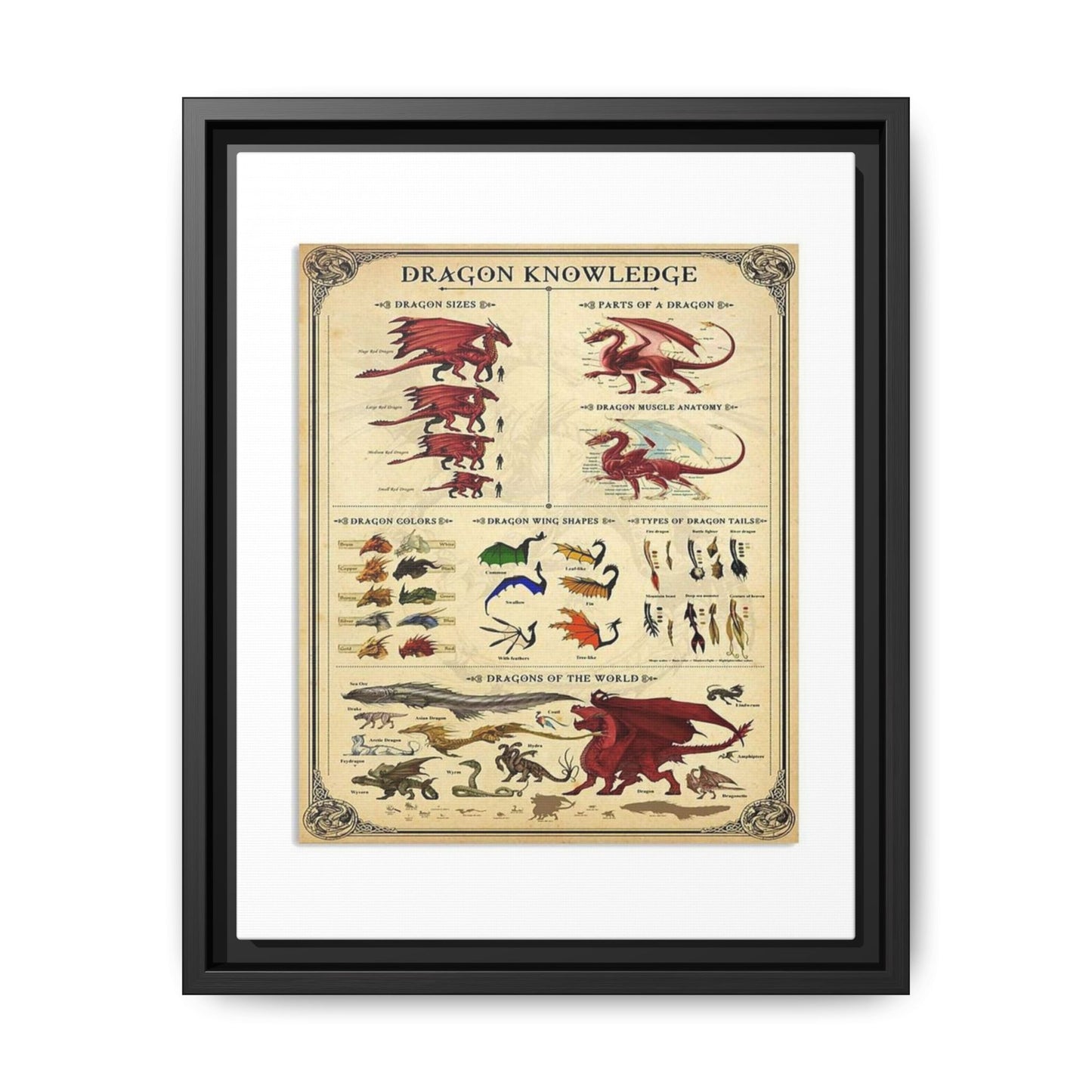 Dragon Knowledge Guide Poster, Dragon Anatomy And Types Identification Vertical Poster