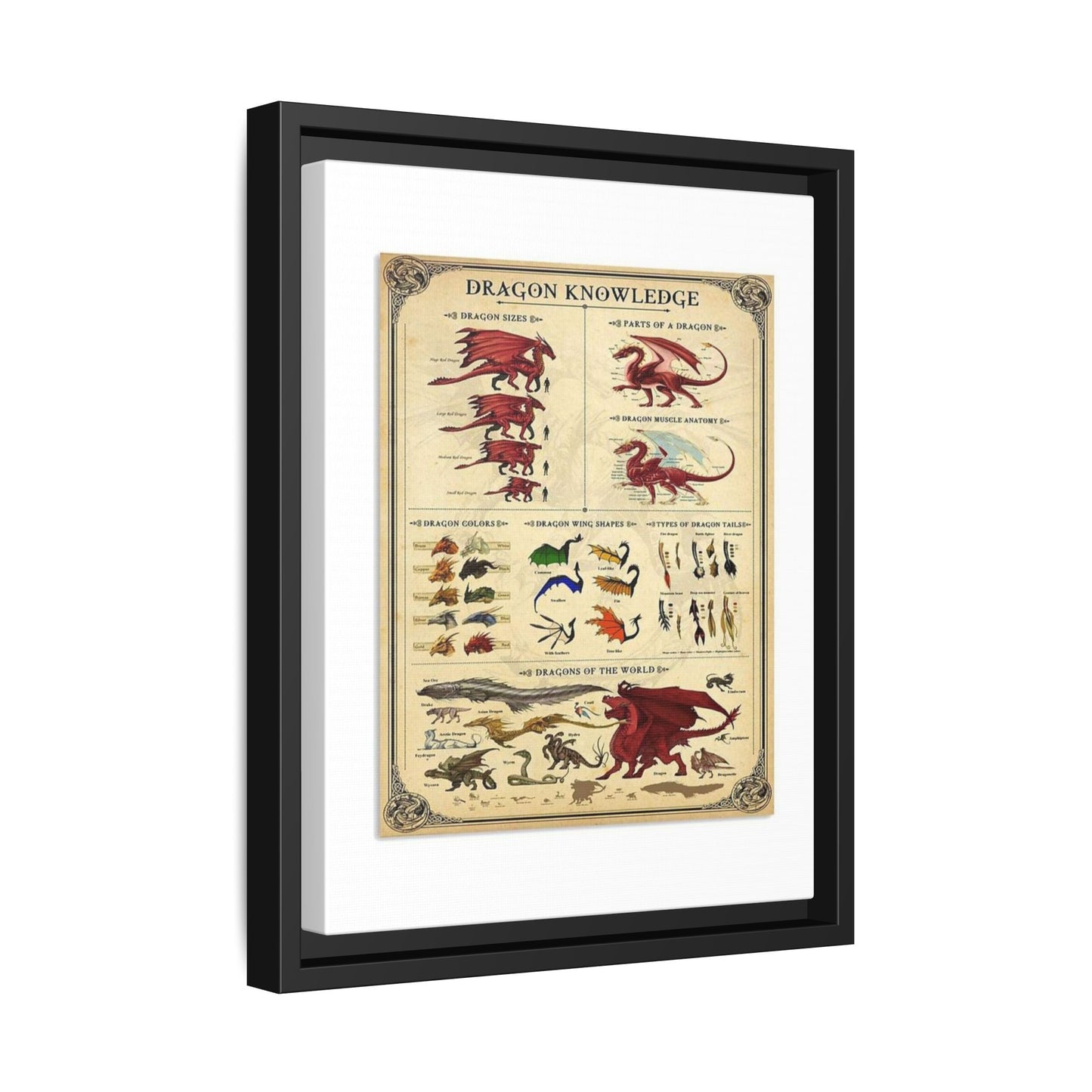 Dragon Knowledge Guide Poster, Dragon Anatomy And Types Identification Vertical Poster