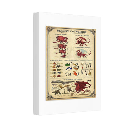 Dragon Knowledge Guide Poster, Dragon Anatomy And Types Identification Vertical Poster