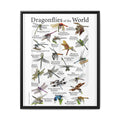 Dragonflies of the World Vertical Poster and Canvas