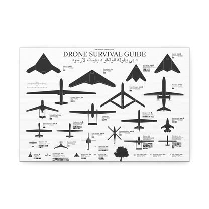 Drone Survival Guide Poster, Military Drone Identification Guide Horizontal Poster