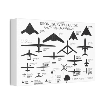 Drone Survival Guide Poster, Military Drone Identification Guide Horizontal Poster