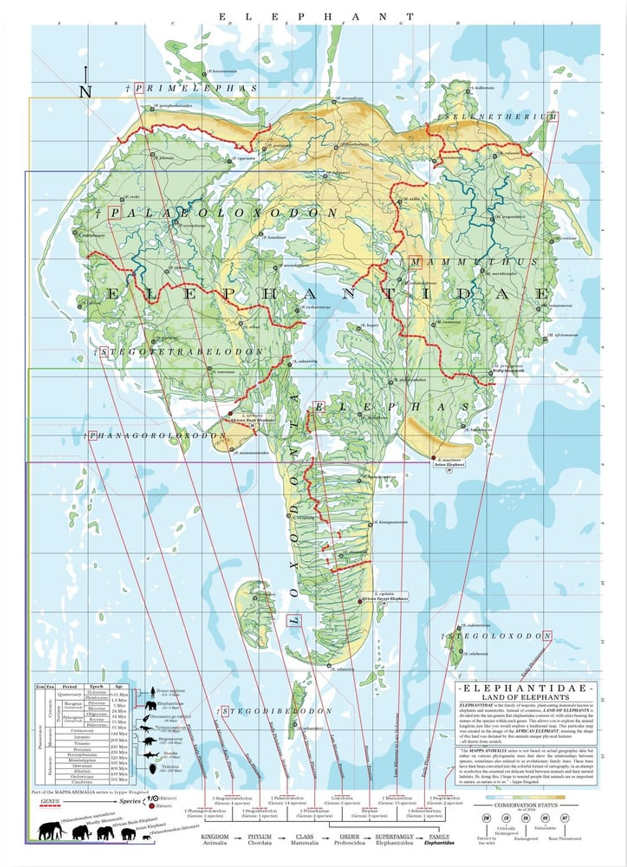Elephant Family Tree Map Poster, Elephantidae Evolution Chart Print, Elephant Species Identification Wall Art, Wildlife Gift