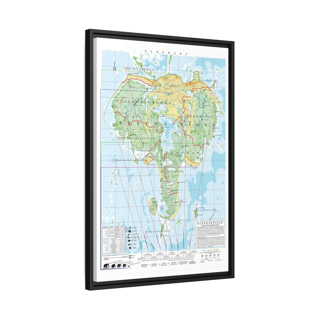 Elephant Family Tree Map Poster, Elephantidae Evolution Chart Print, Elephant Species Identification Wall Art, Wildlife Gift