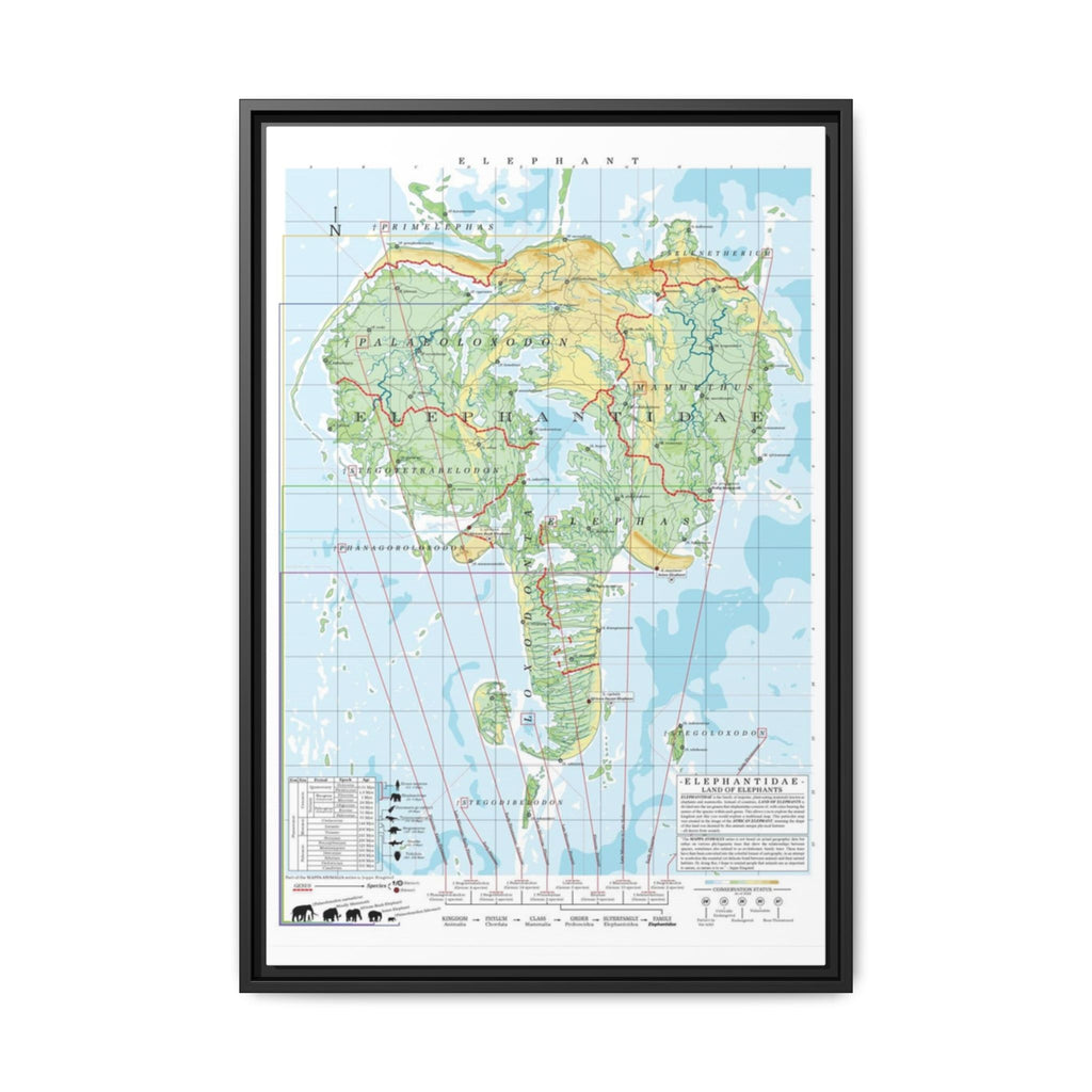 Elephant Family Tree Map Poster, Elephantidae Evolution Chart Print, Elephant Species Identification Wall Art, Wildlife Gift