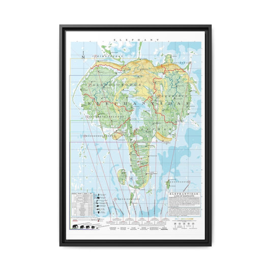Elephant Family Tree Map Poster, Elephantidae Evolution Chart Print, Elephant Species Identification Wall Art, Wildlife Gift