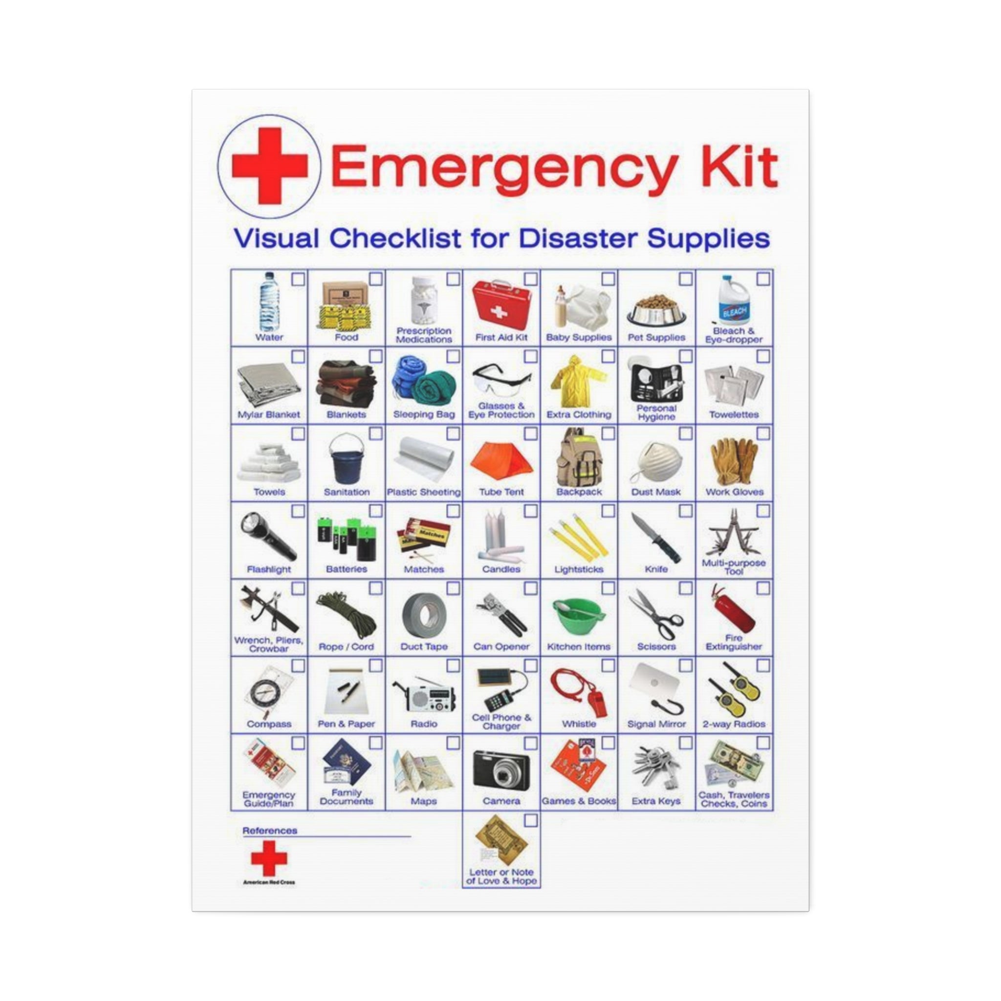 Emergency Kit Visual Checklist for Disaster Supplies Vertical Poster and Canvas