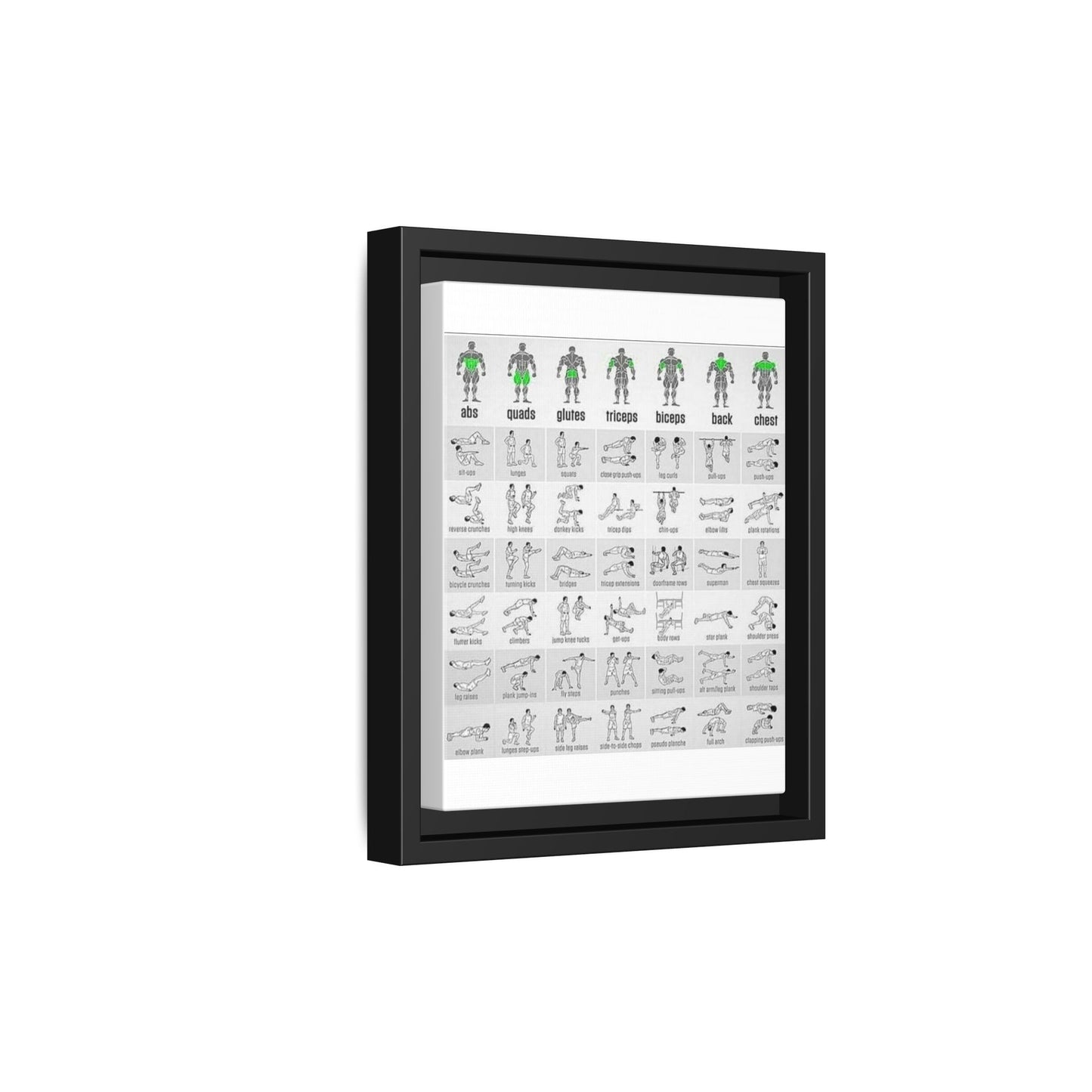 Exercise Workout Guide Poster, Muscle Groups And Exercise Chart Poster