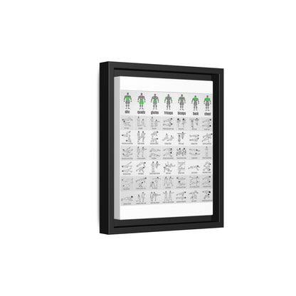 Exercise Workout Guide Poster, Muscle Groups And Exercise Chart Poster