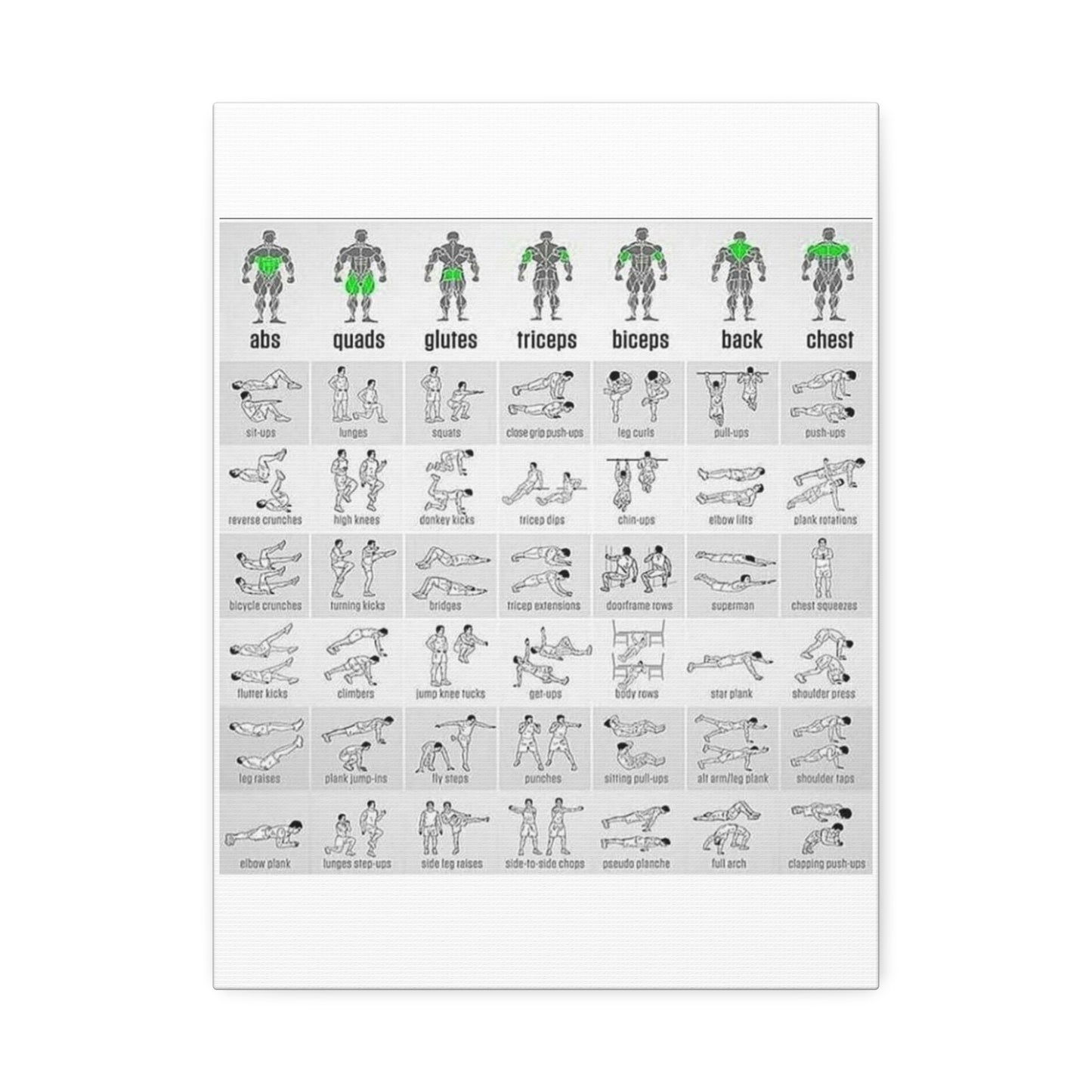 Exercise Workout Guide Poster, Muscle Groups And Exercise Chart Poster
