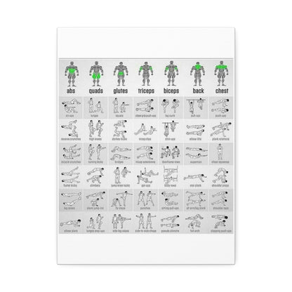 Exercise Workout Guide Poster, Muscle Groups And Exercise Chart Poster