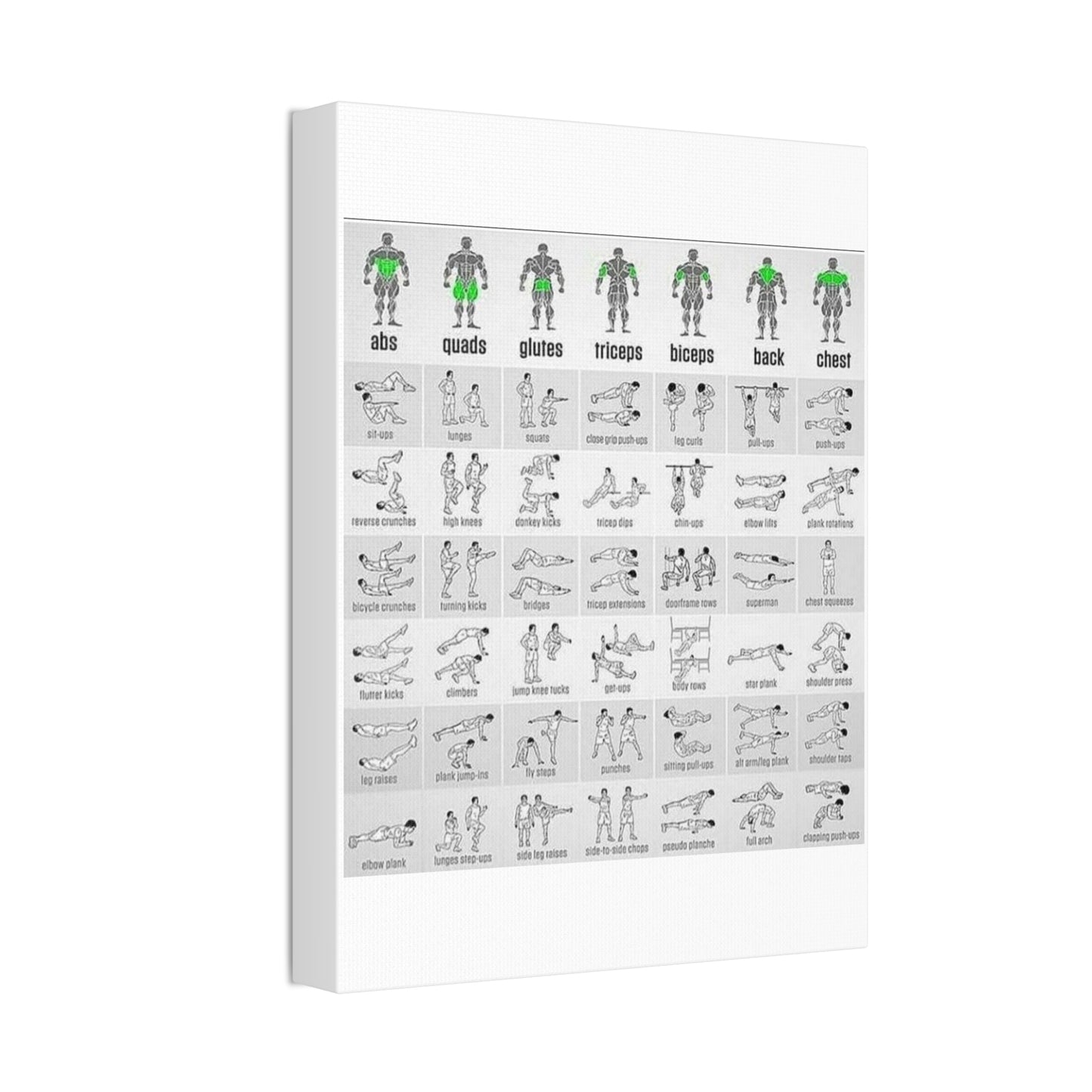 Exercise Workout Guide Poster, Muscle Groups And Exercise Chart Poster