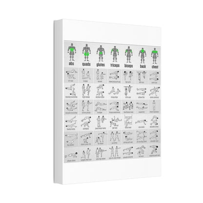 Exercise Workout Guide Poster, Muscle Groups And Exercise Chart Poster